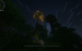 Minecraft location Jungle Bar
