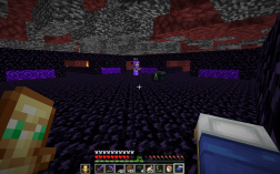 Screenshot of Minecraft server Wild Anarchy