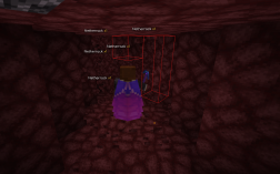 Screenshot of Minecraft server Wild Anarchy
