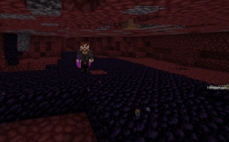 Screenshot of Minecraft server Wild Anarchy