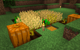 Minecraft location Starter Shack