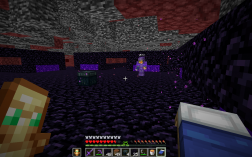 Screenshot of Minecraft server Wild Anarchy