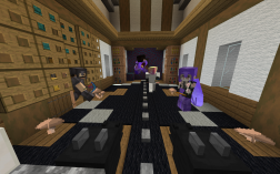 Screenshot of Minecraft server Palterra