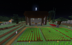 Screenshot of Minecraft server #MoonLight