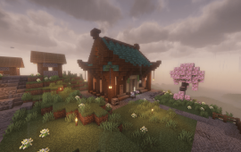 Minecraft location Город Эвиленс