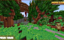 Screenshot of Minecraft server Minegard Online