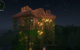 Minecraft location Jungle Bar