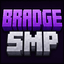 Icon of Minecraft Server Bradge SMP