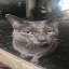 Icon of Minecraft Server 163.245.194.78:25650