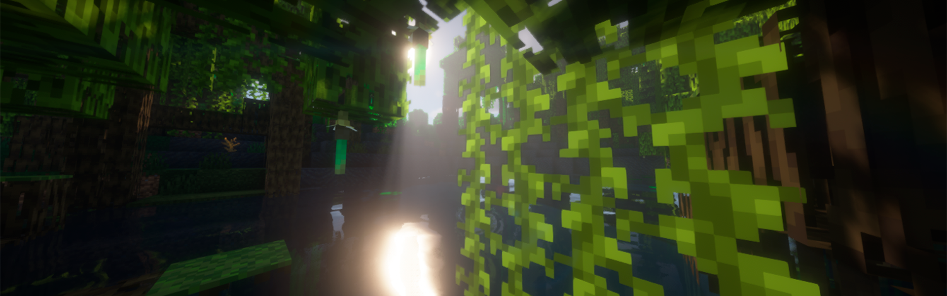 Background of Minecraft server 02Calm