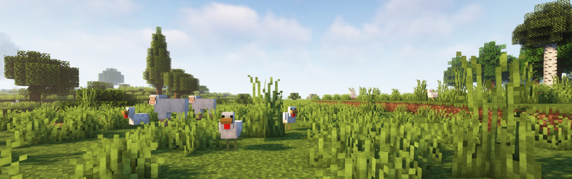 Background of Minecraft server Mangrove MC