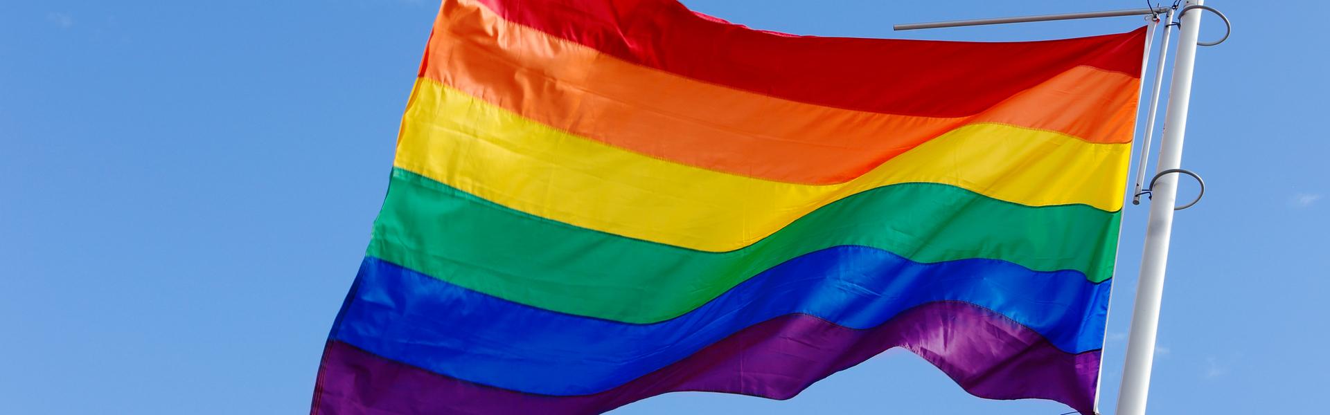 Background of Minecraft server Alternia LGBT