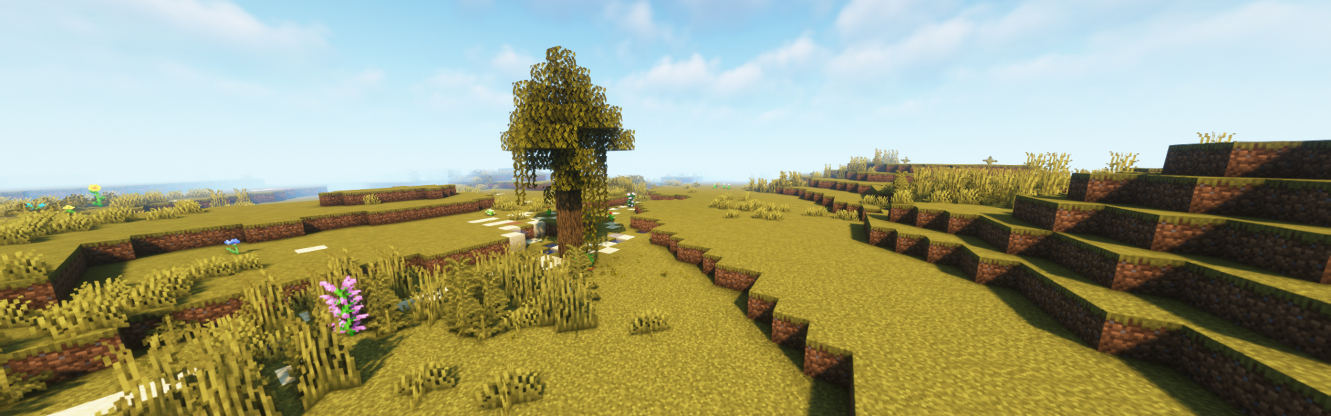 Background of Minecraft server BuzzCraft | Earth And Vanilla