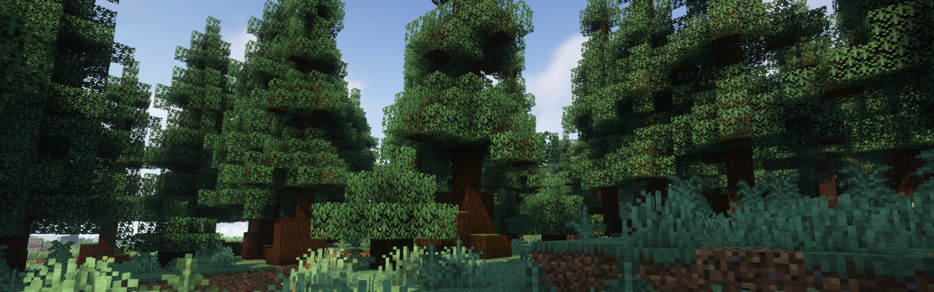 Background of Minecraft server Mangrove MC